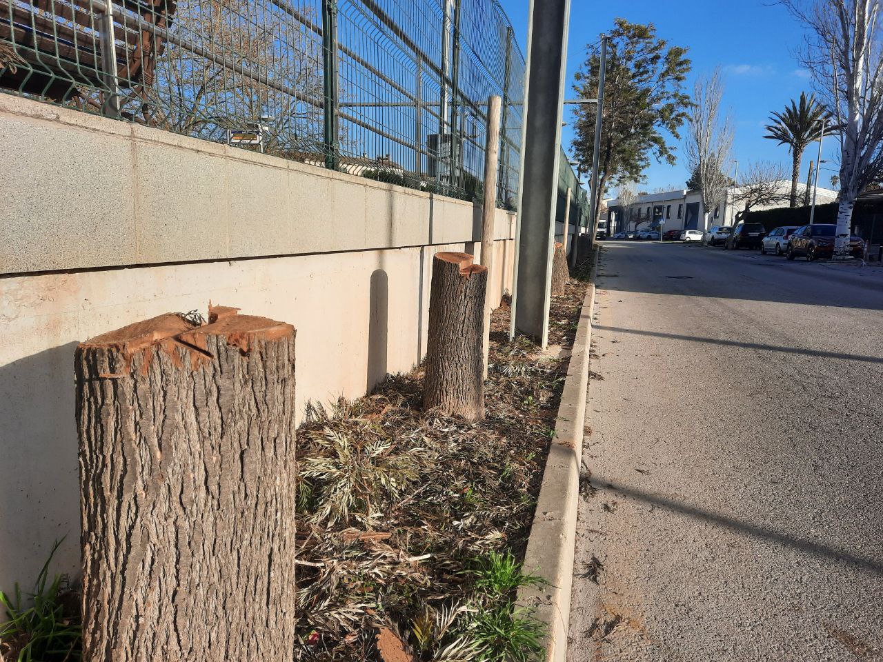 Tala d'arbres a l'estació de tren de Sineu