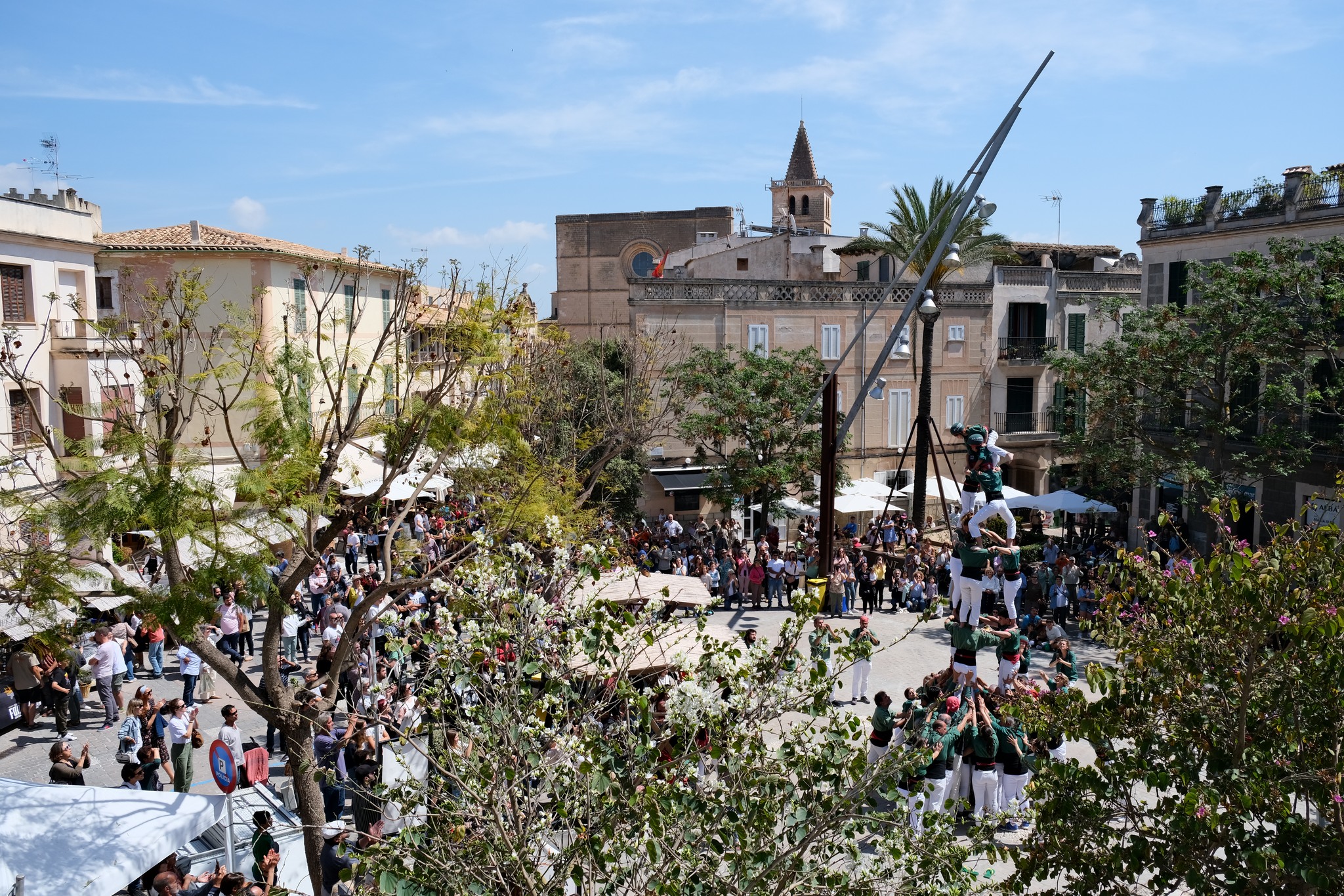 La XVII Diada d’Agricultura Ecològica de Porreres tendrà l’aigua com a eix principal