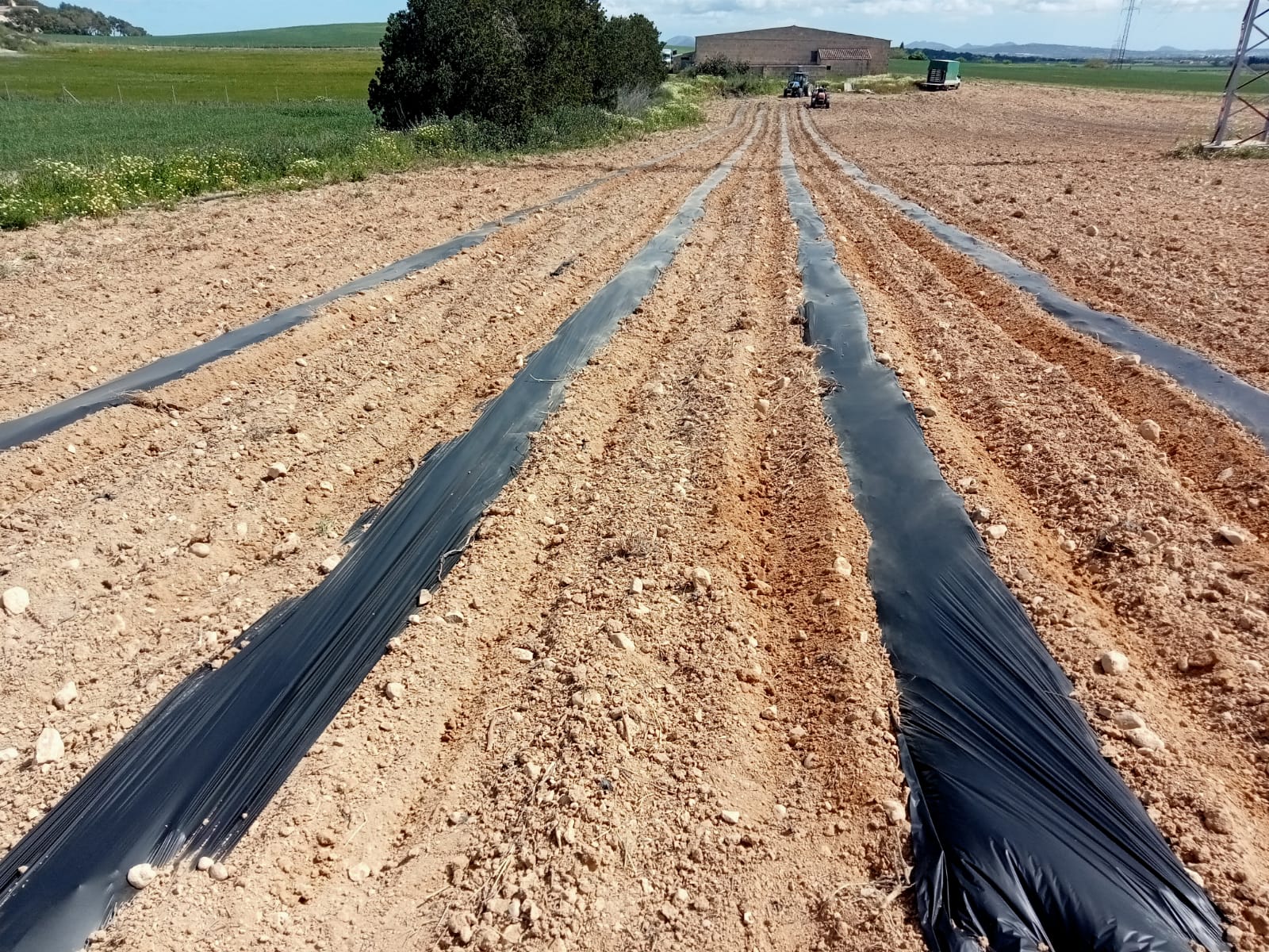 plàstic biodegradable horts