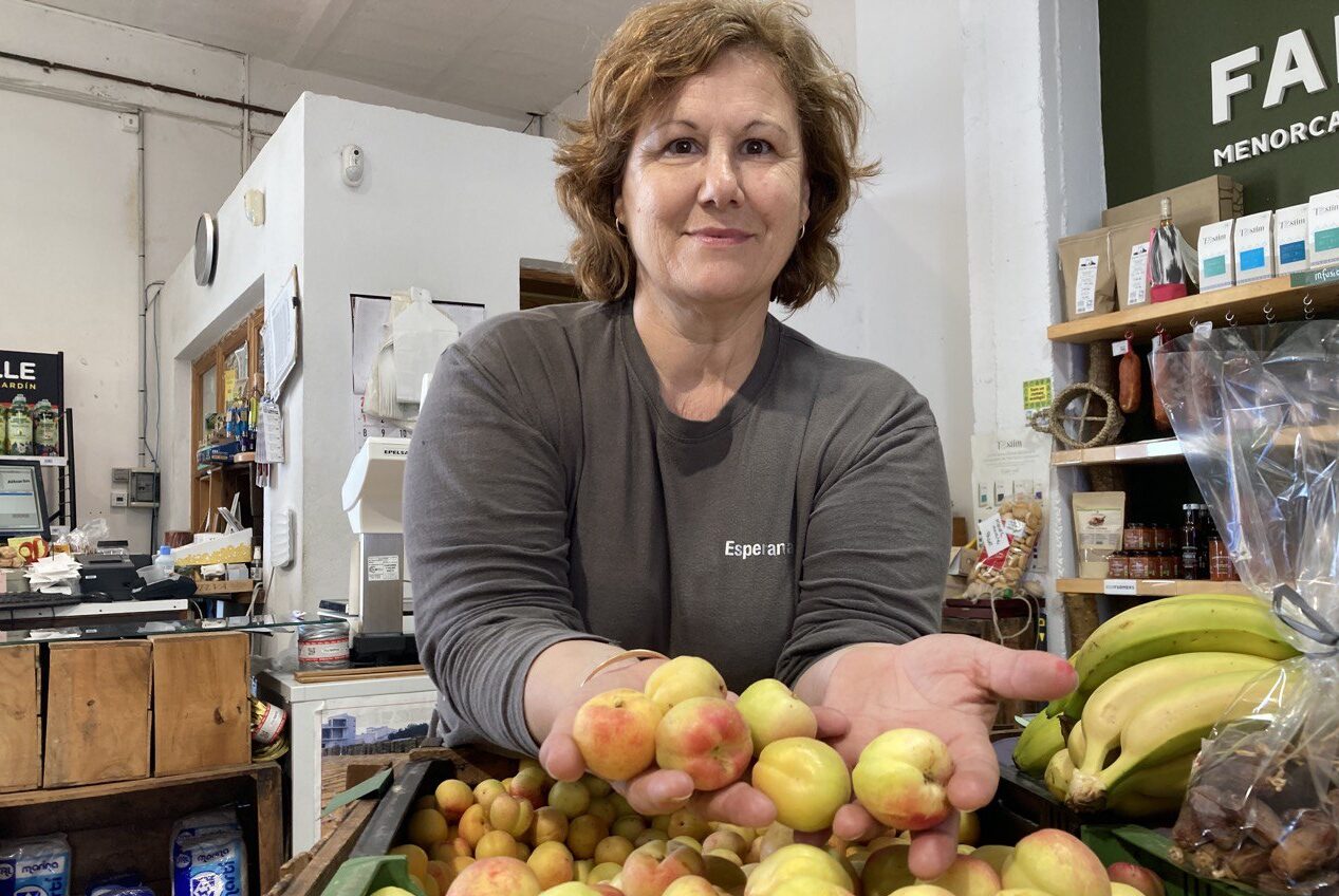 Comença la campanya d’albercoc a Porreres condicionada pel calabruix