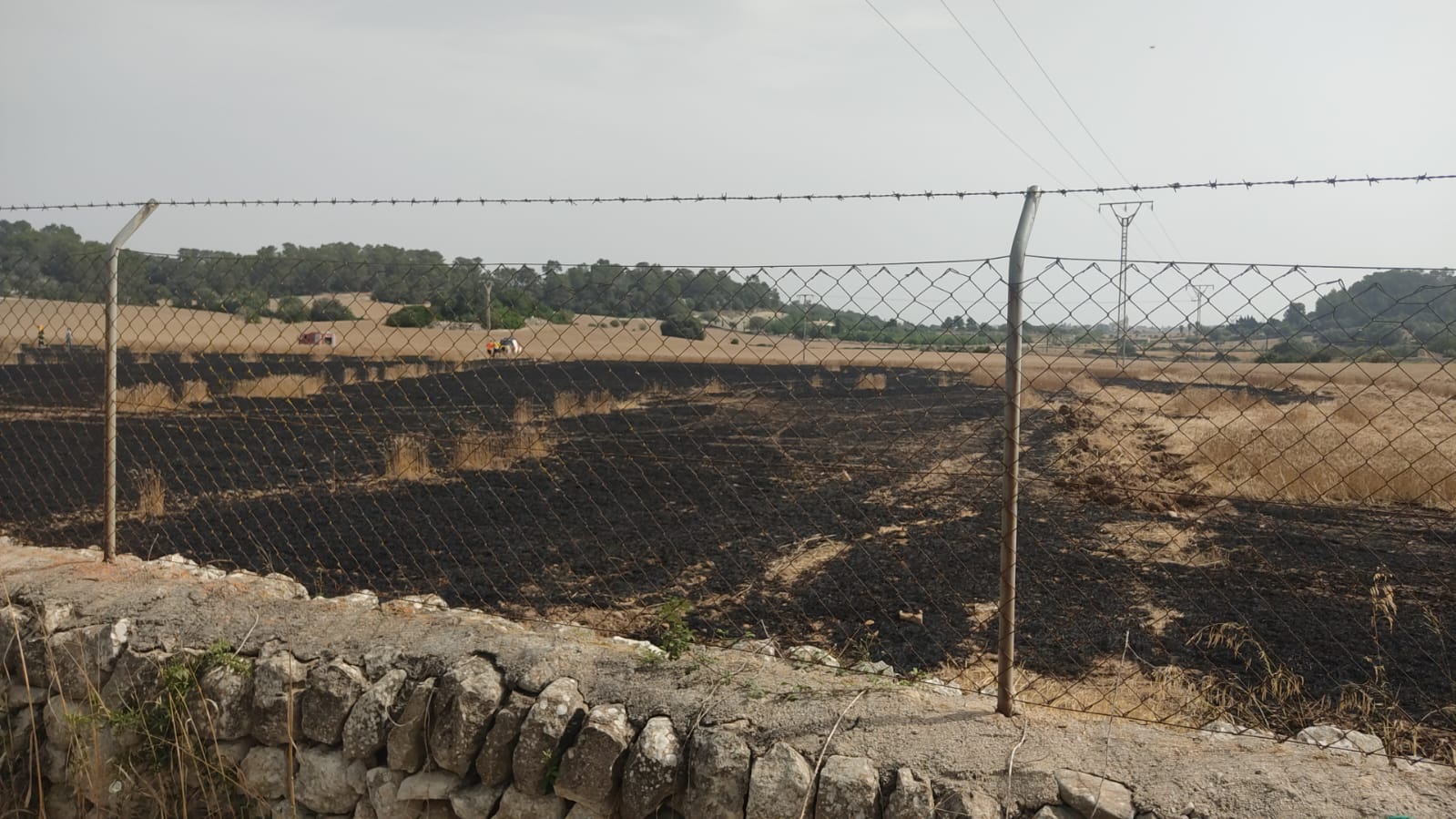 son Joan Arnau incendi