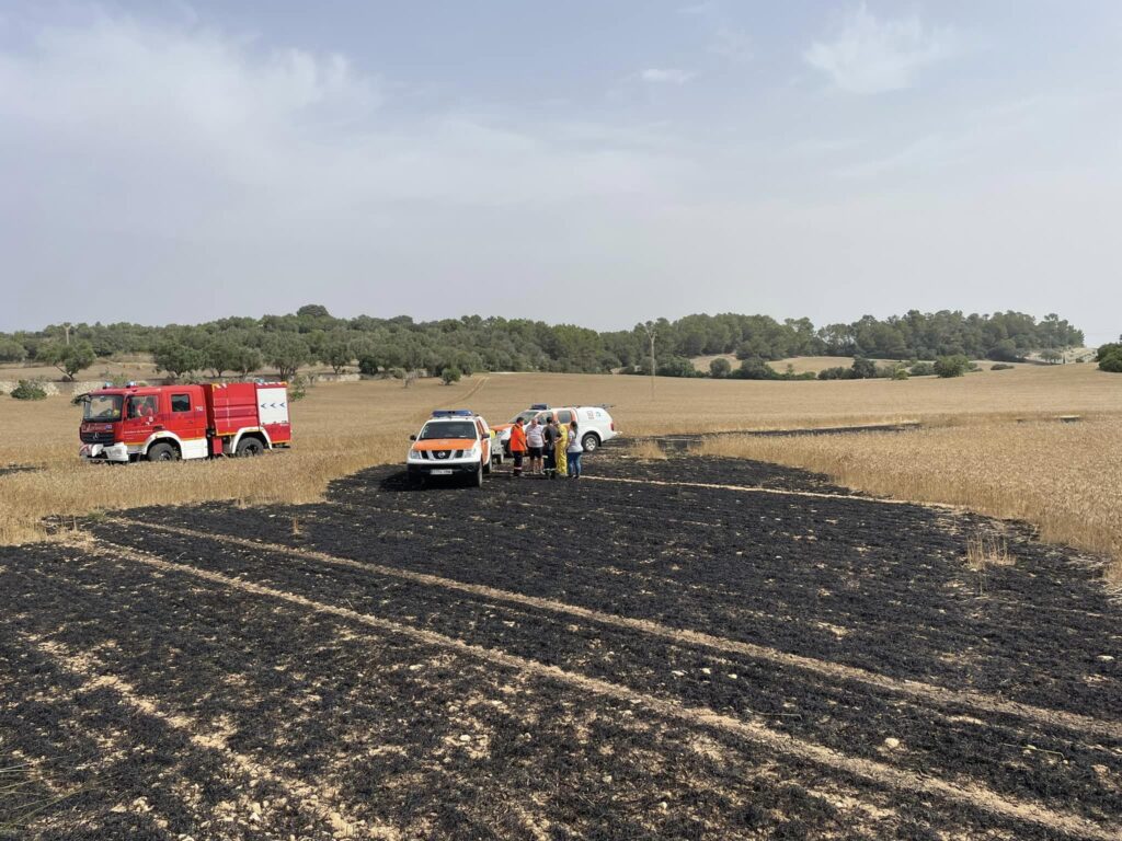 incendi son joan arnau lloret