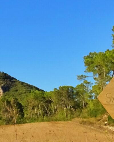 Puig De Sant Onofre Des De Sant Joan, Un Regal Pels Sentits