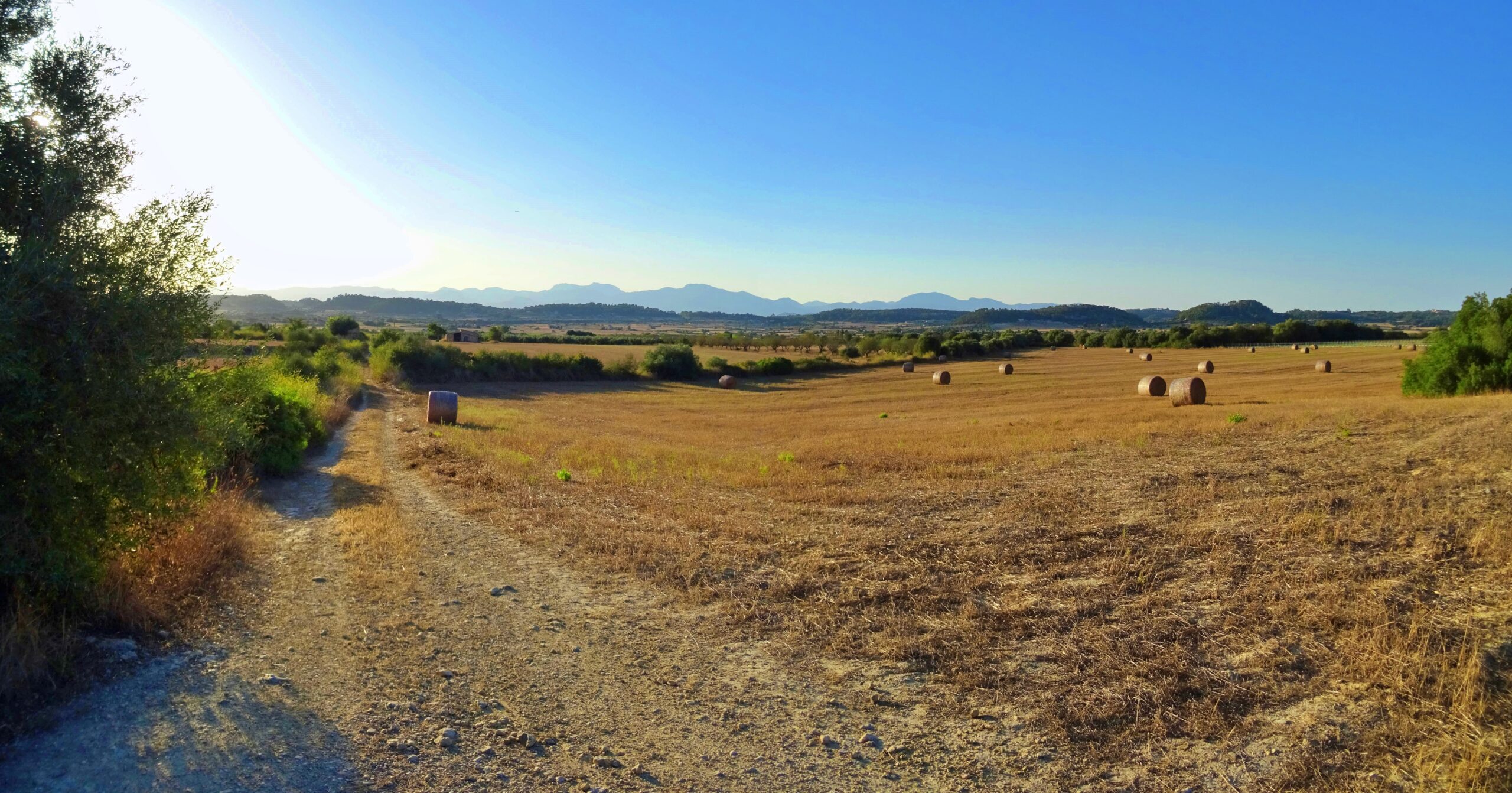 Mor un home de 72 anys mentre feinejava amb un tractor a fora vila a Sant Joan