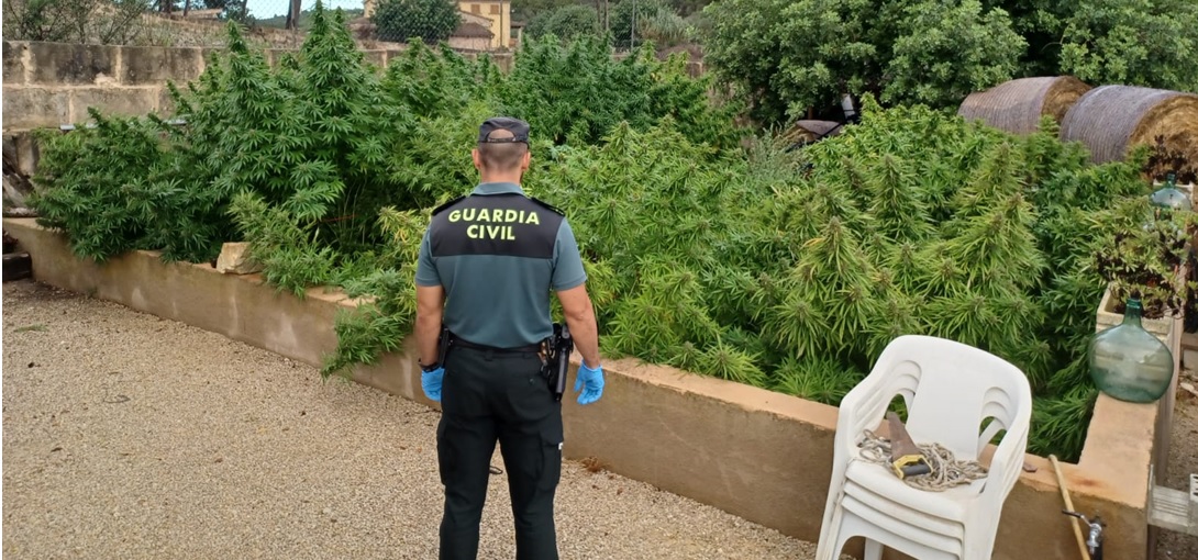 La Guàrdia Civil desmantella una plantació de marihuana a Sant Joan