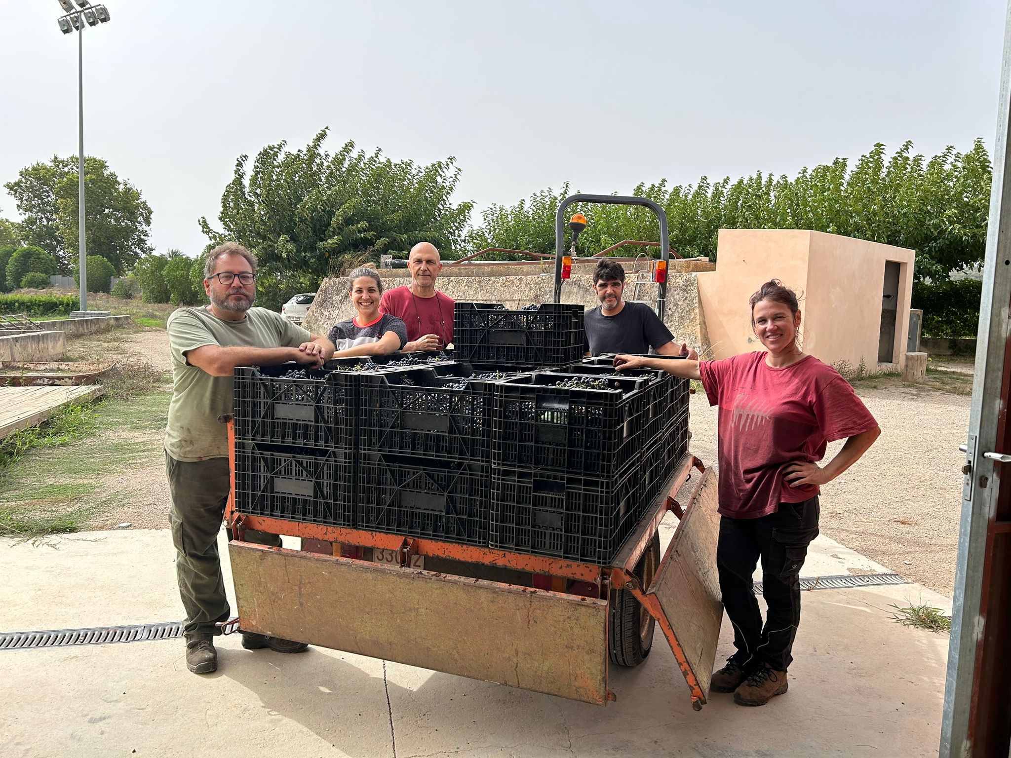 Vitivinicultura, una formació amb molt de futur al Pla de Mallorca