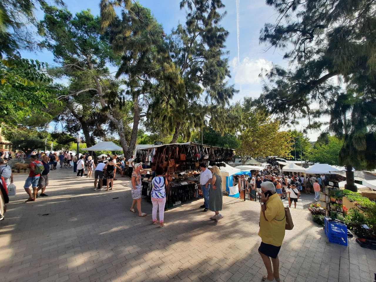 mercat sineu