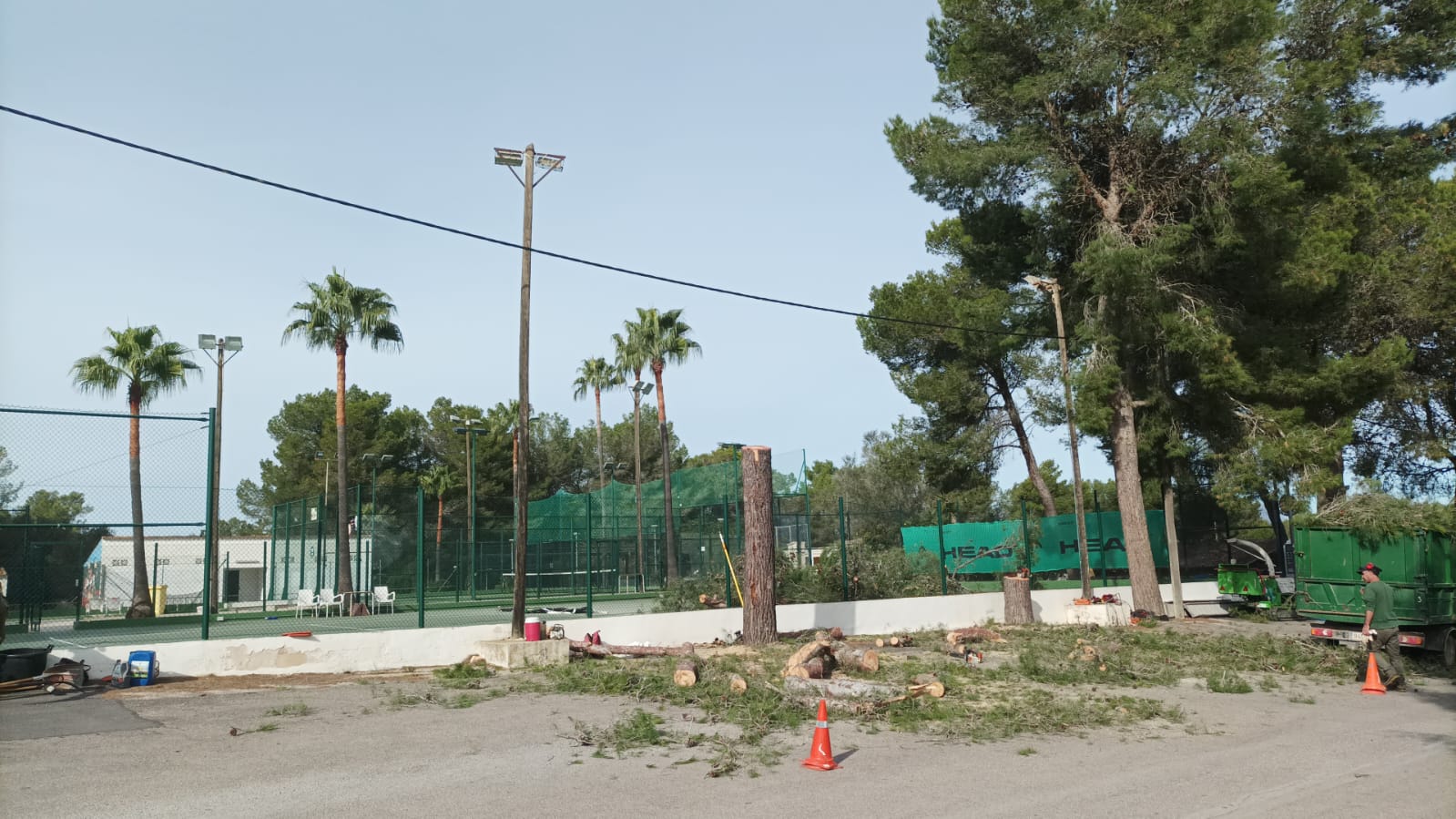 Queixes per la tala de tres pins per renovar la il·luminació de les pistes de tenis i pàdel a Lloret