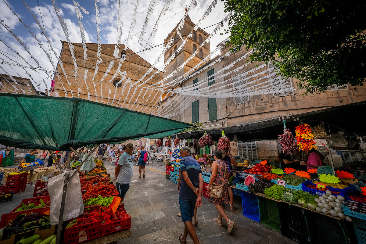 mercat sineu