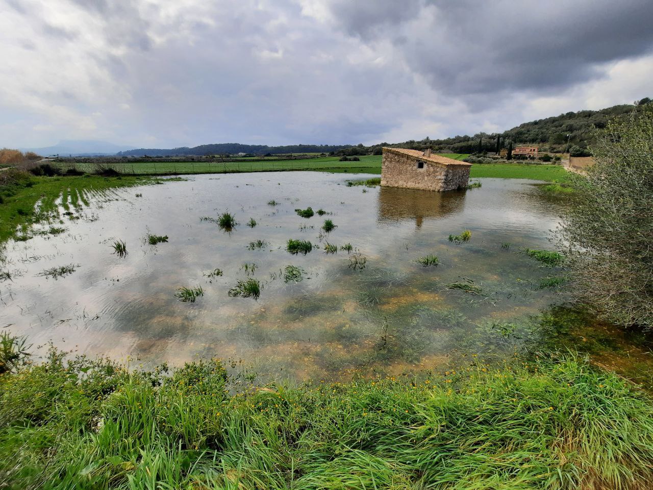 Les reserves hídriques del Pla de Mallorca es mantenen tot i la manca de pluges