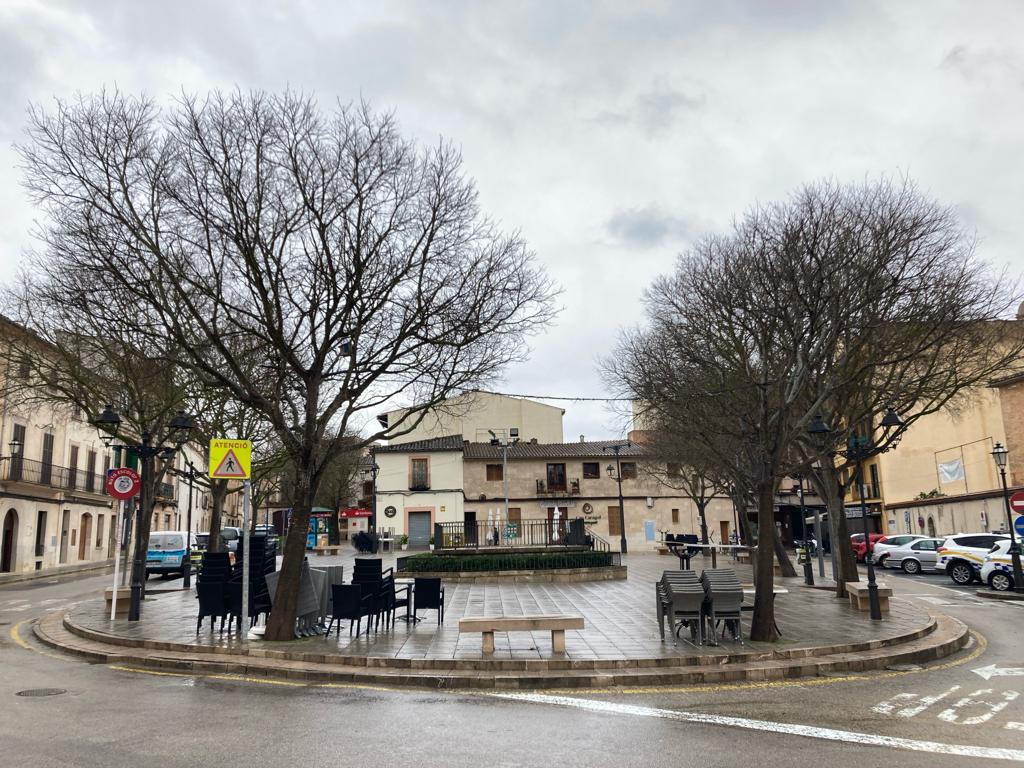 Algaida posa a un clic el control de tots els arbres, carrers i camins públics