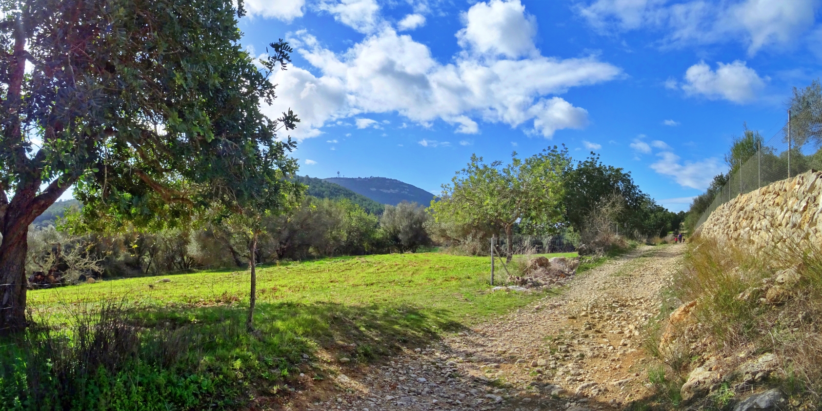 D’Algaida a Castellitx de la Pau