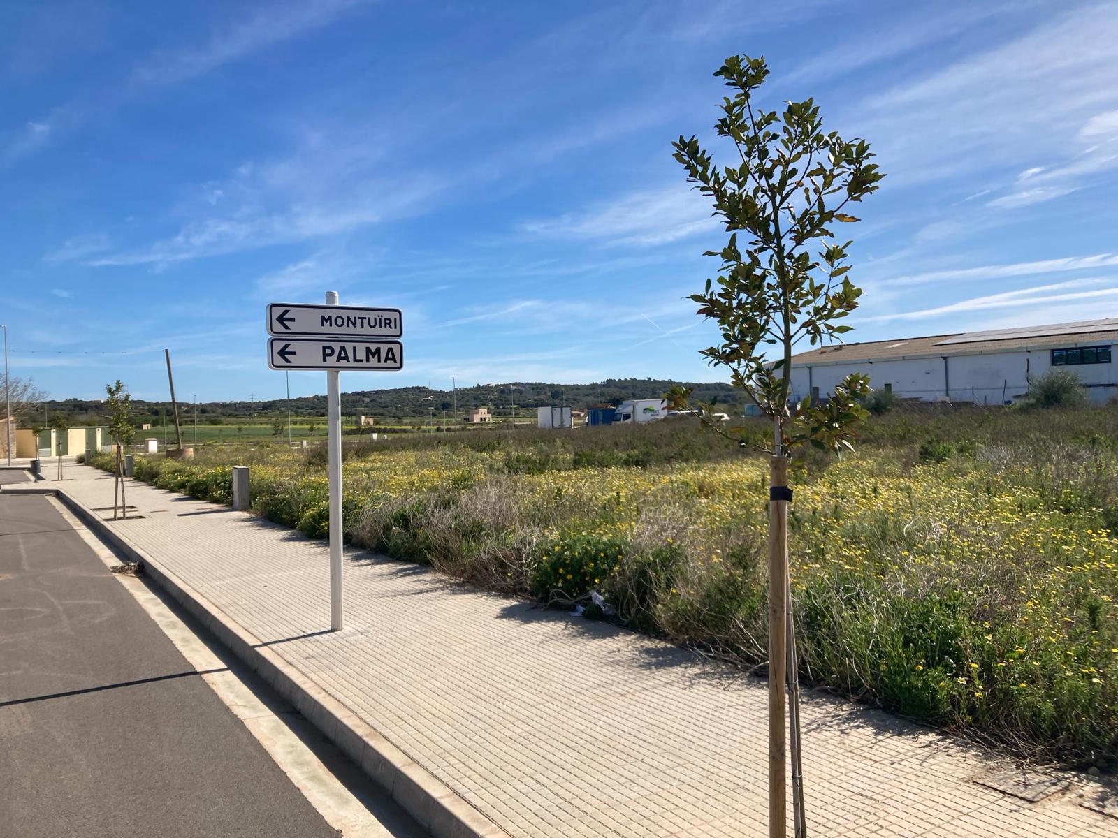 L’Ajuntament de Porreres traslladarà el parc verd al nou polígon industrial