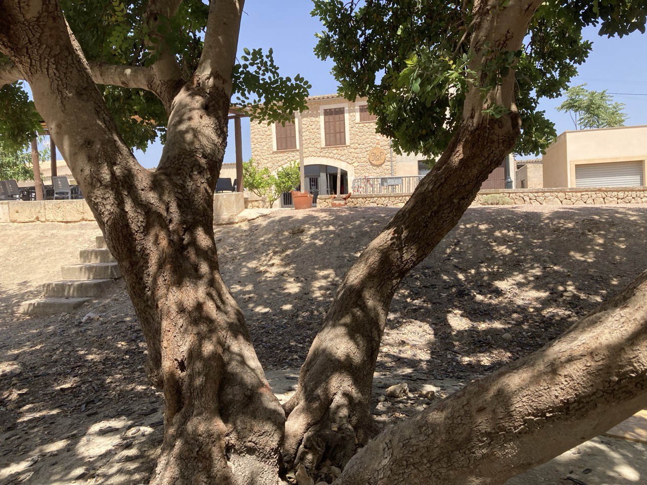 L’Ajuntament de Vilafranca comprarà el bar es Glop per ubicar-hi el Casal de Joves