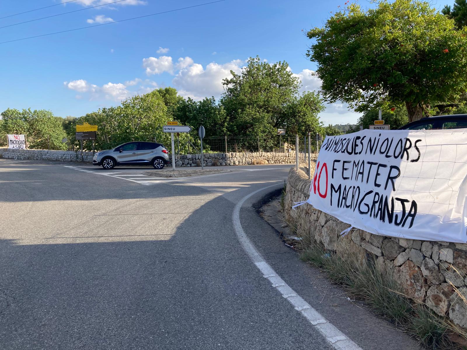 Greenpeace alerta que autoritzar la macrogranja de gallines a Sineu “és jugar amb foc”