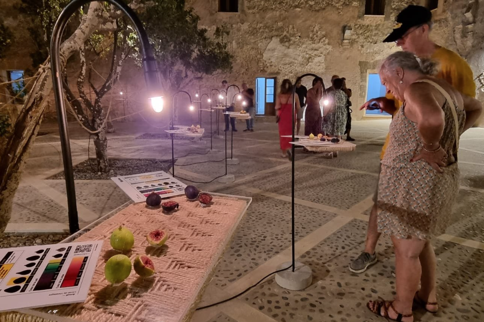 “La figuera, els arbres, feien una funció importantíssima al camp mallorquí”