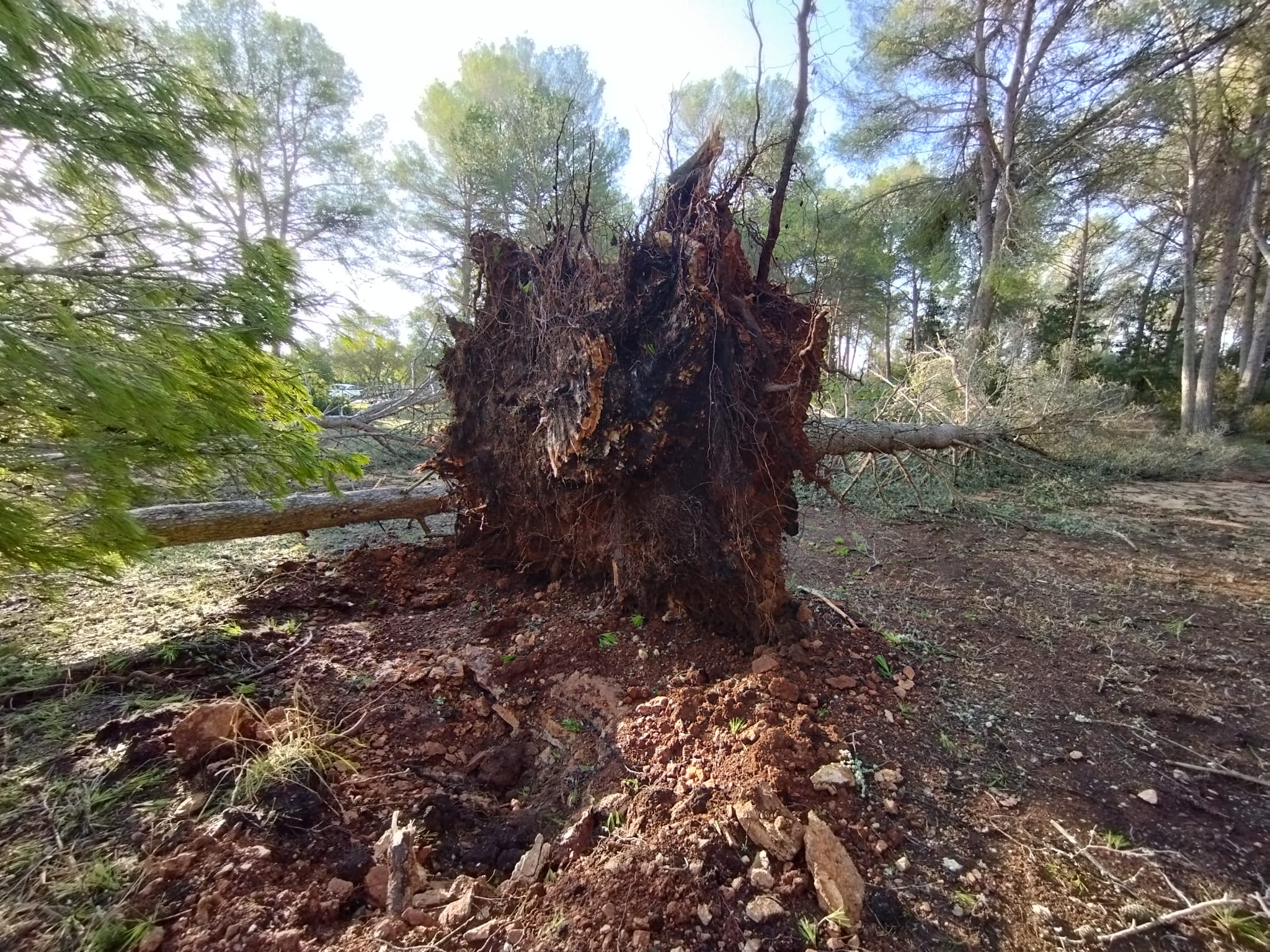 Lloret s’endugué la pitjor part del temporal