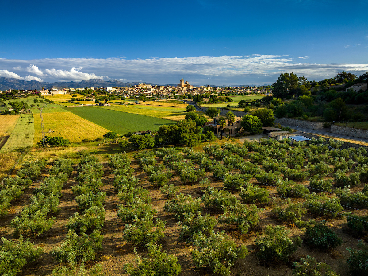 La macrogranja de Sineu devaluarà un 50 % el preu de les finques i cases del Pla