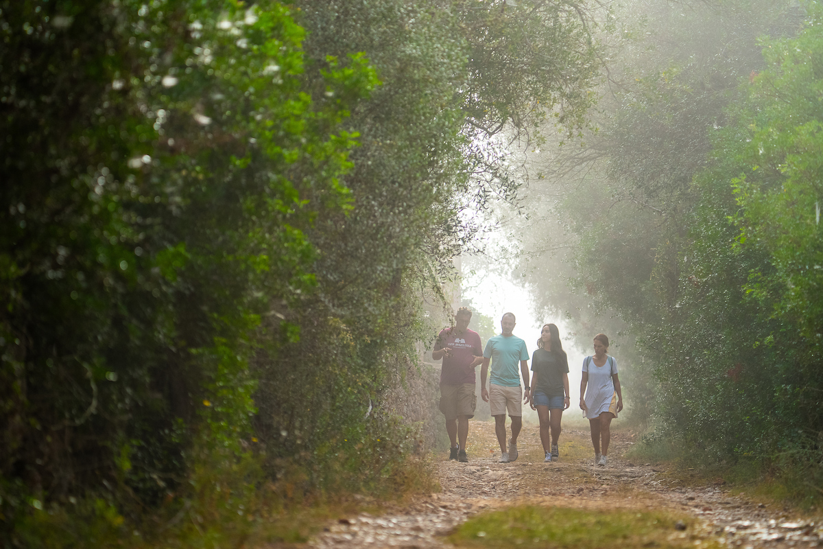 La Mancomunitat projecte millorar 200 kilòmetres de camins i passos del Pla