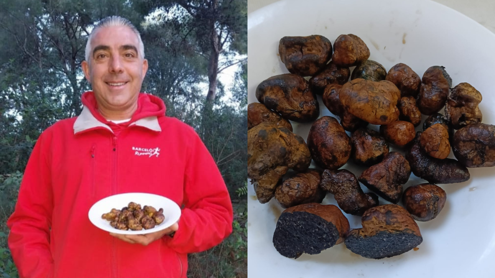 És el Pla de Mallorca terra de “trufes”?