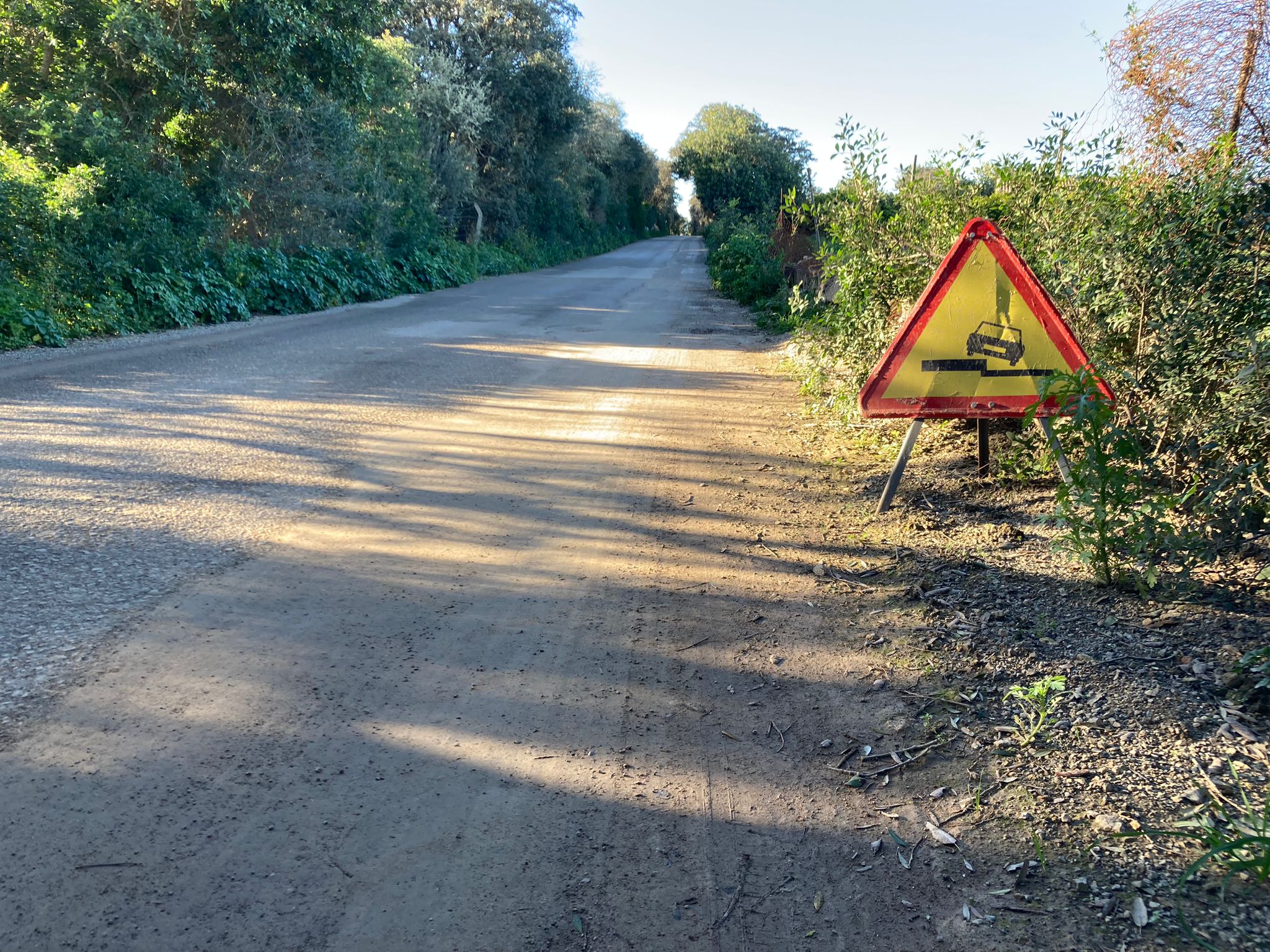 Queixes veïnals a la zona de Son Mesquida de Porreres pel mal estat del camí