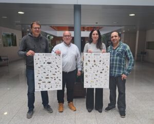 Coneixeu les aranyes de Mallorca?