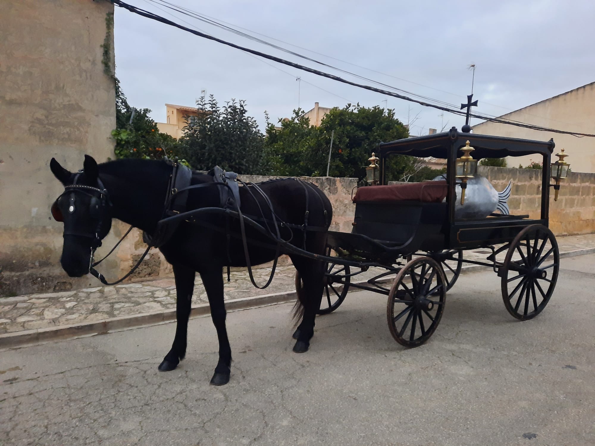 Sineu i Montuïri recuperen la tradició de l’enterrament de la sardina