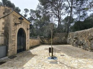 L’Ajuntament d’Algaida elaborarà una Ordenança municipal de Memòria Democràtica