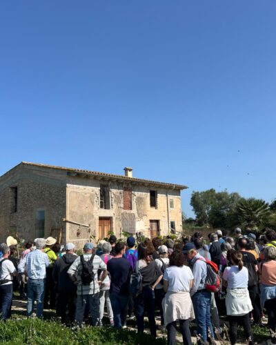 L’escola com a promesa electoral, el tio Gori i altres històries de sa Serra de Llubí