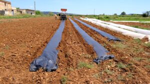 L’hort ecològic comença pel plàstic biodegradable