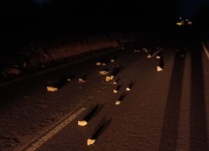 Investiguen la perillosa aparició de pedres a la carretera d’Algaida a Santa Eugènia