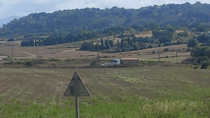 L’Ajuntament de Sineu ha denunciat al Govern l’abocament de fems de gallina a Son Venrell