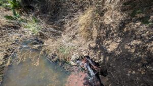 MÉS Unides de Sencelles demana «solucions immediates» davant la inacció del Govern per la contaminació dels aqüífers